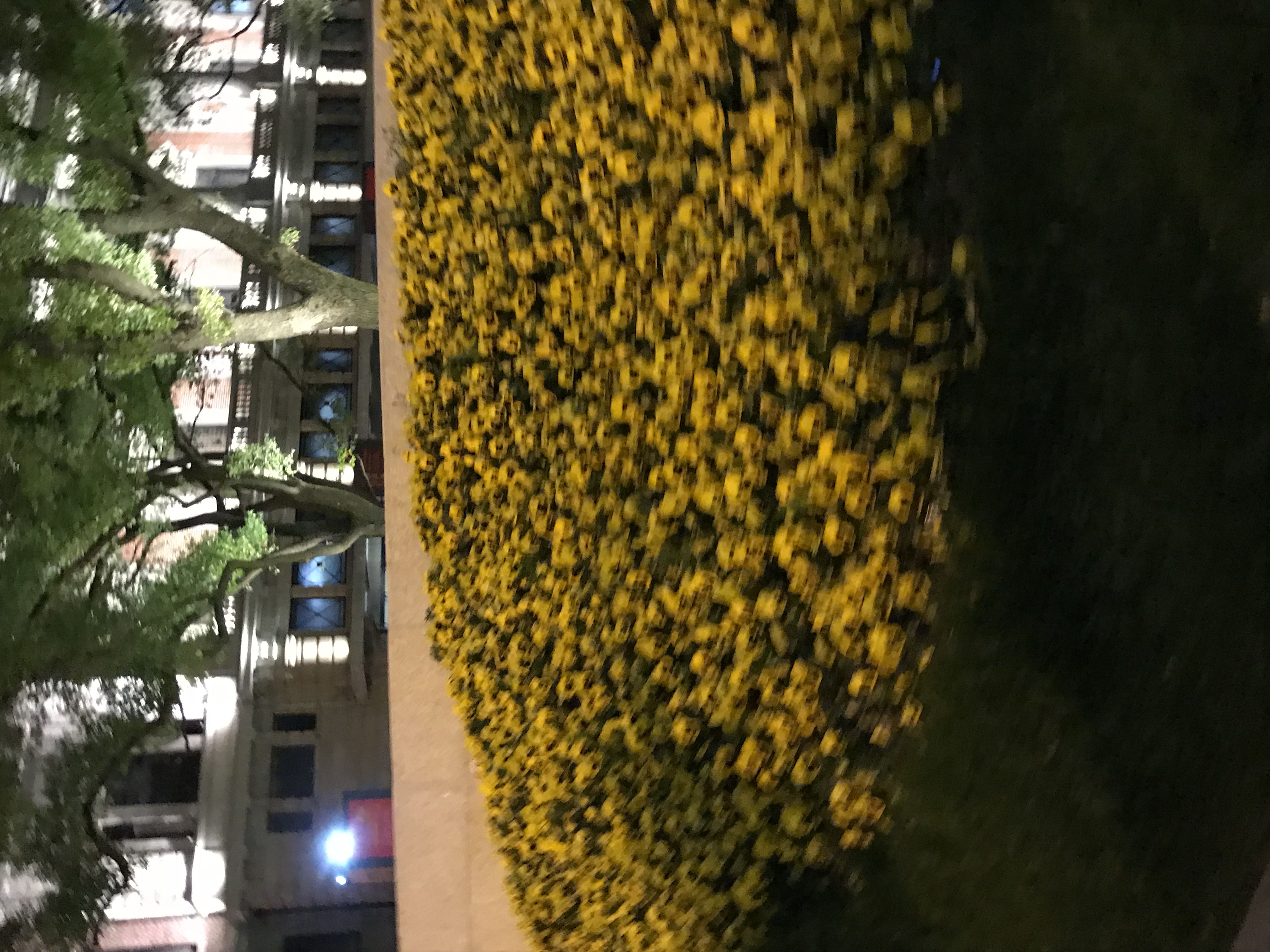 ./2018/03 - Viking China/22 - Shanghai Day 1/IMG_9978.JPG